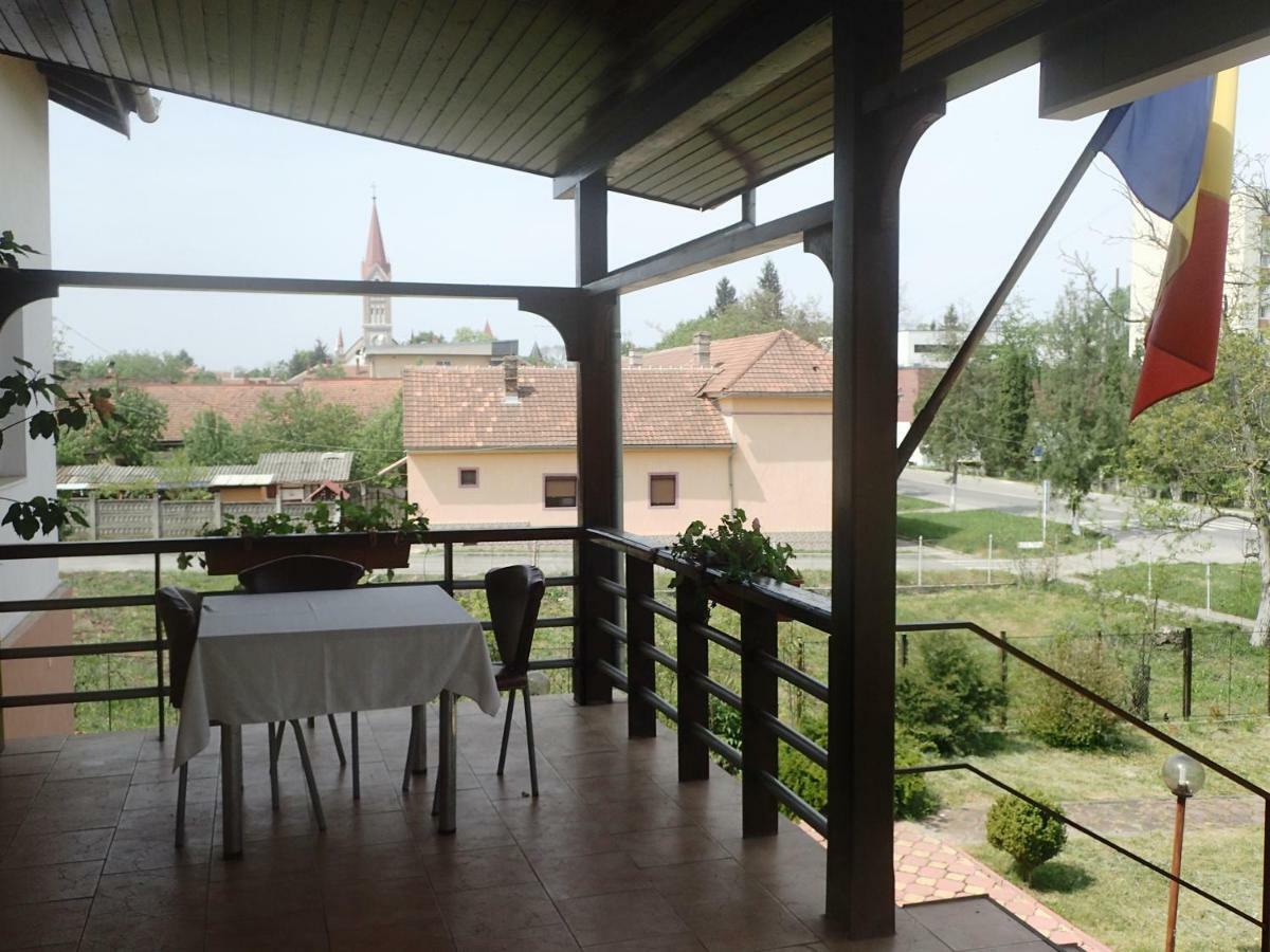 Vila Zuela Buziaş Buitenkant foto